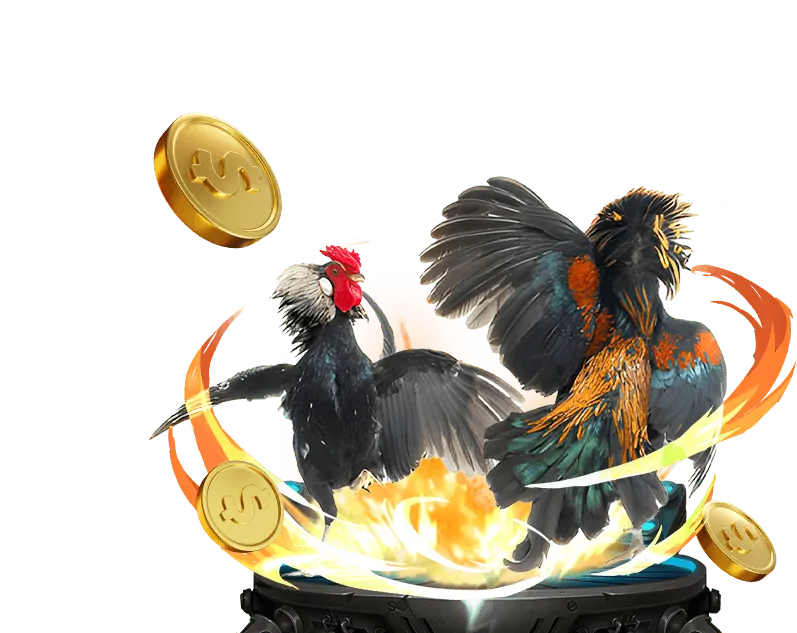 Hướng dẫn người mới cá cược thể thao 69vn15